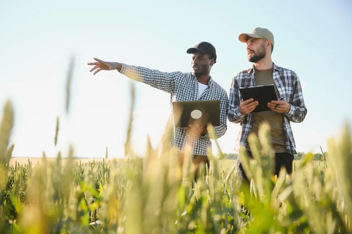 Founders and SMEs building solutions across fintech, healthcare, climate, and creative tech